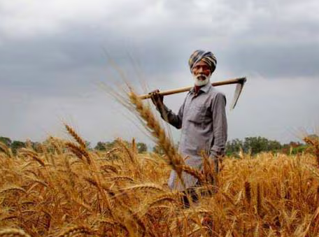 Screenshot 2025 07 16 at 14 58 45 Why agriculture matters An irony The Indian